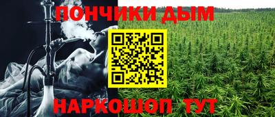 дживик Новодвинск